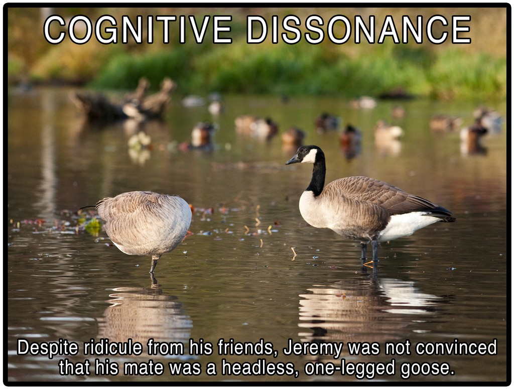 cognitive dissonance