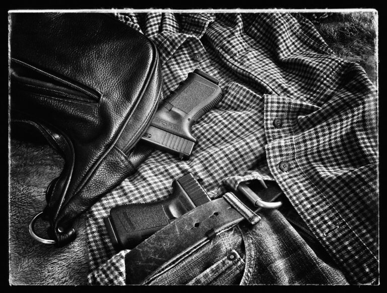 Concealed Carry 1 768x582